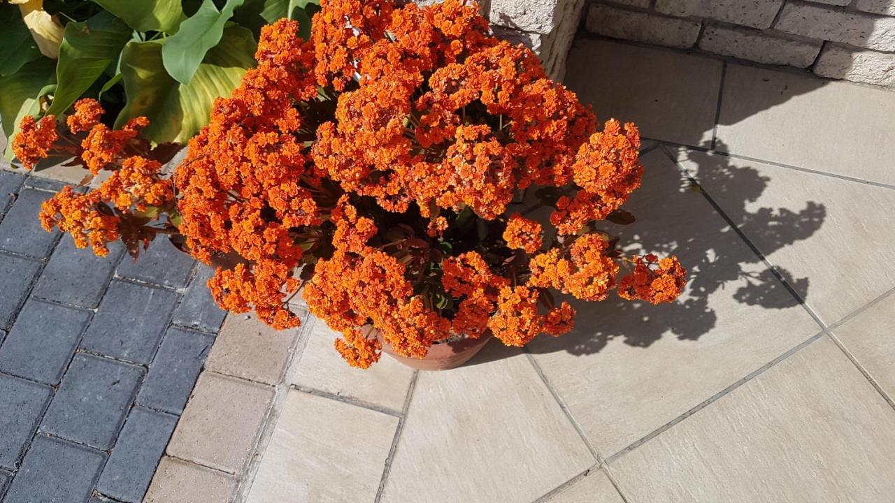 مبيت وإفطار ستيلينبوش Besigheim المظهر الخارجي الصورة